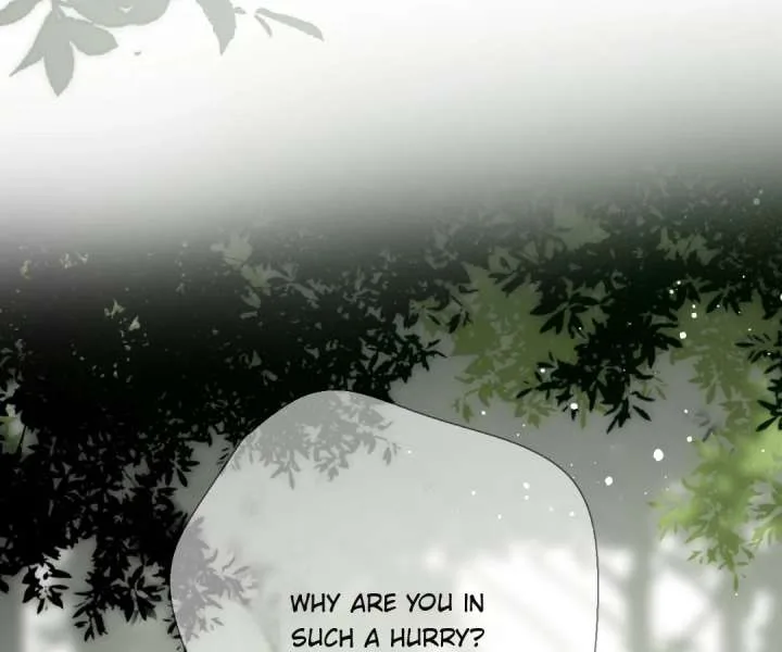 Back to Spring Chapter 66 page 73
