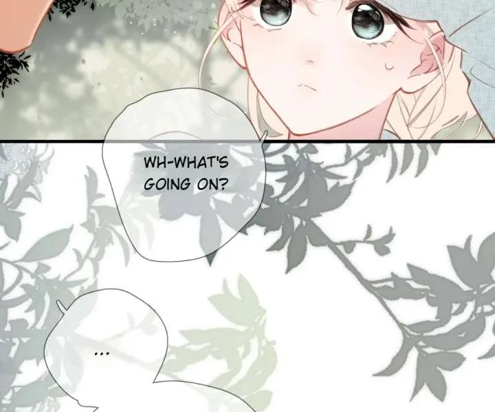 Back to Spring Chapter 66 page 71