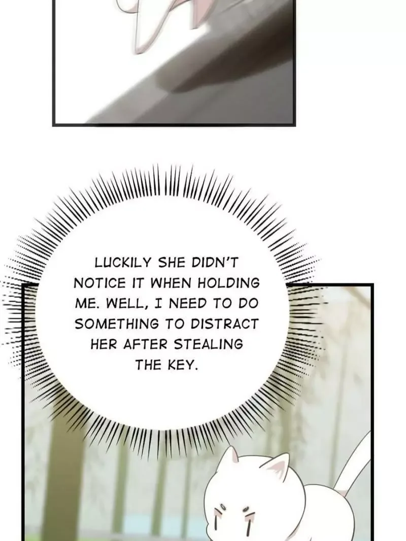 Queen of poison: The Legend of a Super Agent, Doctor and Princess Chapter 138 page 29
