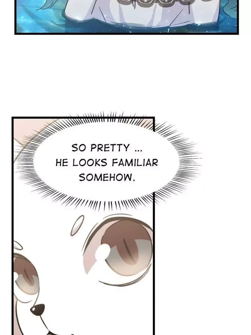 Queen of poison: The Legend of a Super Agent, Doctor and Princess Chapter 137 page 38