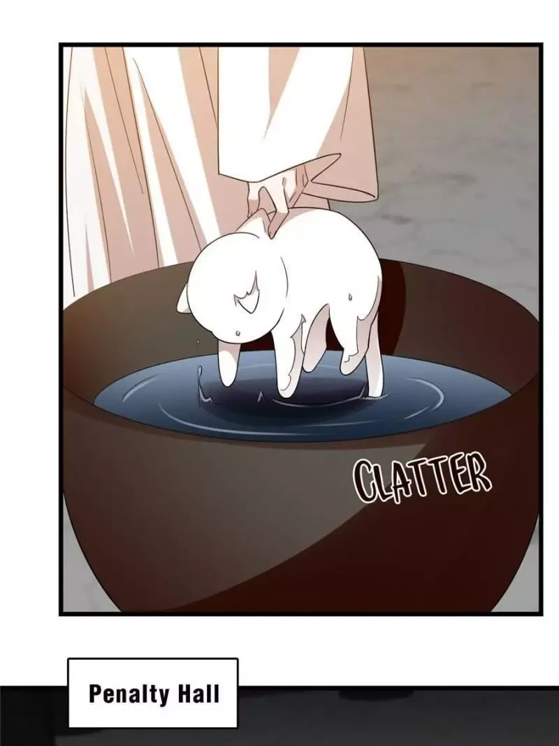 Queen of poison: The Legend of a Super Agent, Doctor and Princess Chapter 144 page 43