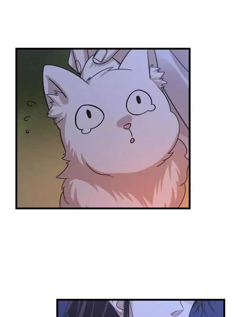 Queen of poison: The Legend of a Super Agent, Doctor and Princess Chapter 162 page 9