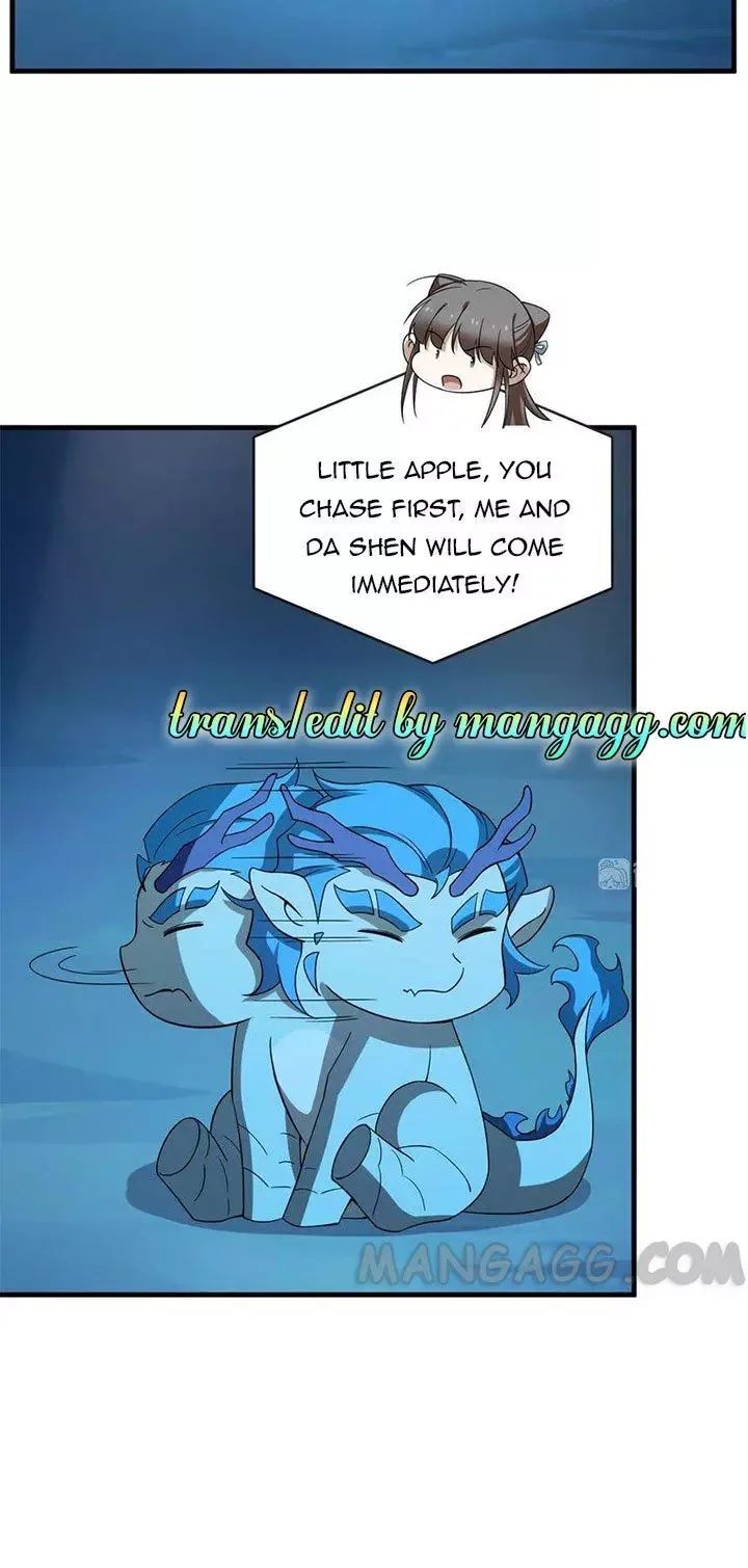 Queen of poison: The Legend of a Super Agent, Doctor and Princess Chapter 209 page 17