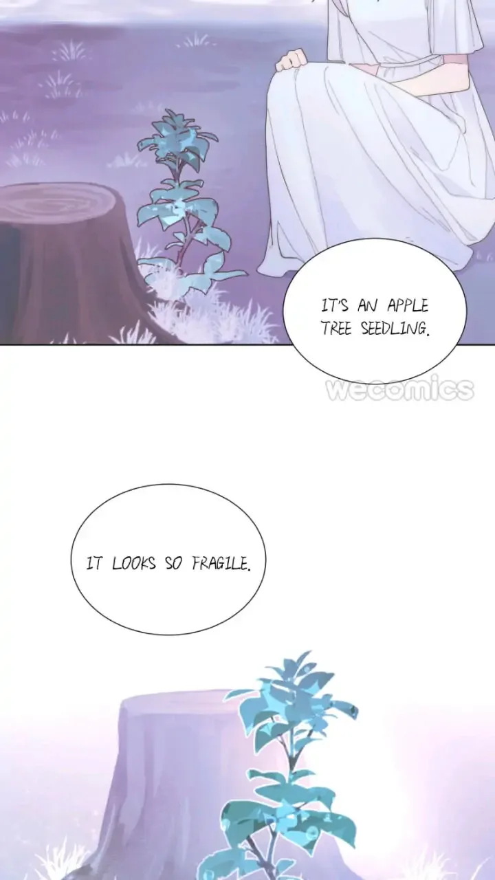 You're the apple of my eye Chapter 29 page 12