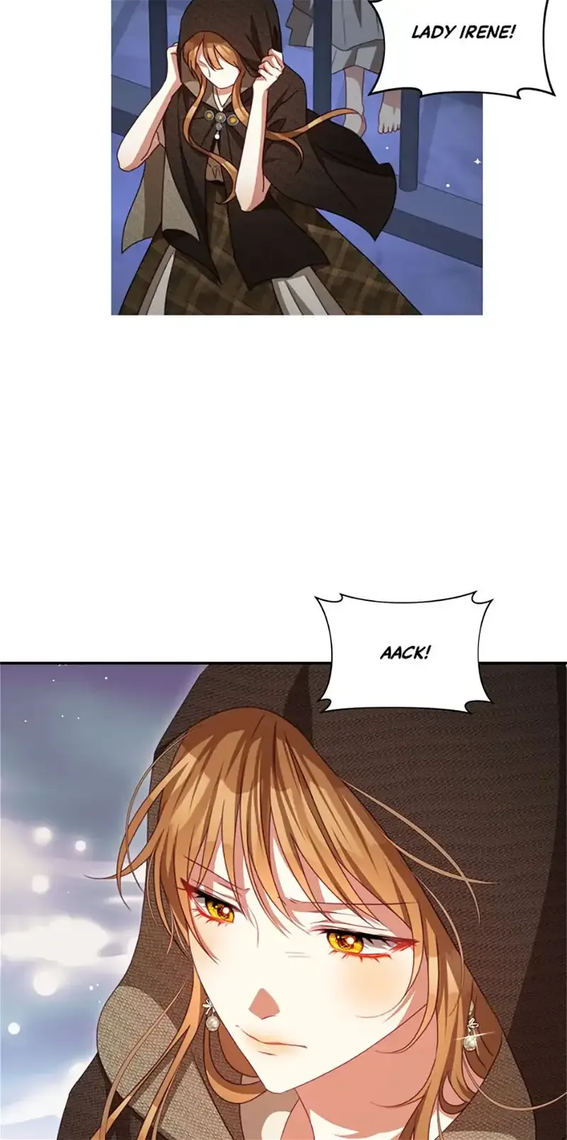 I Have Become The Hero’s Rival Chapter 101 page 43