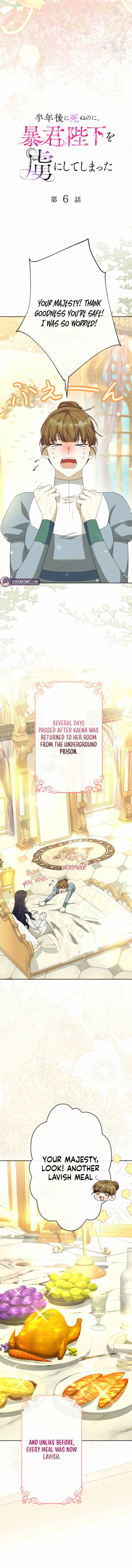 The Tyrant’s Obsession with the Dying Empress Chapter 6 page 11