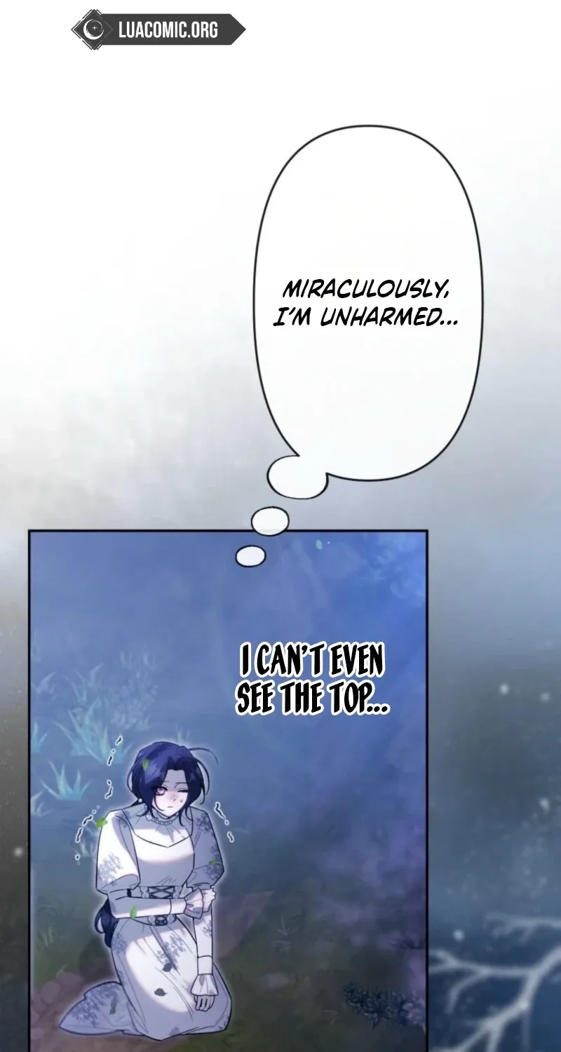 The Tyrant’s Obsession with the Dying Empress Chapter 28 page 44