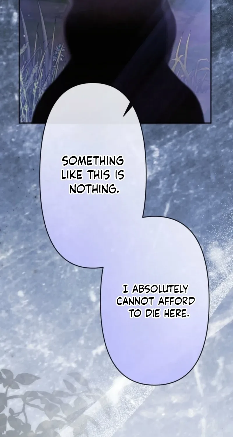 The Tyrant’s Obsession with the Dying Empress Chapter 28 page 66