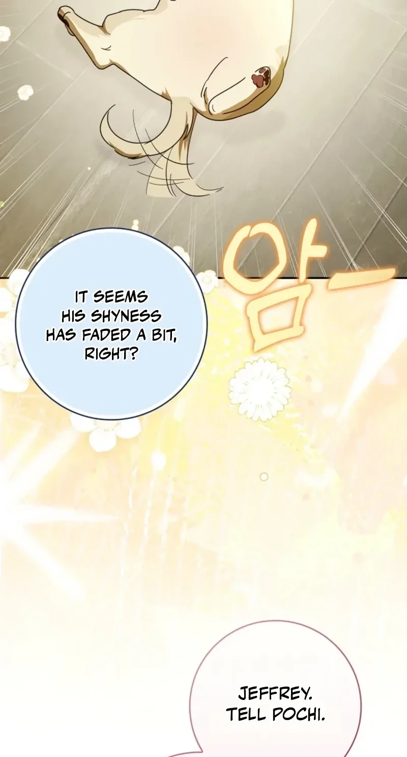 I will save my father Chapter 33 page 47