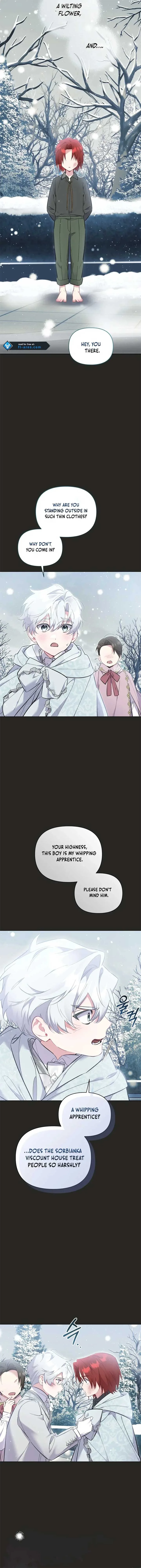 Don’t Worry, We Both Agreed to this Fraudulent Marriage Chapter 34 page 4