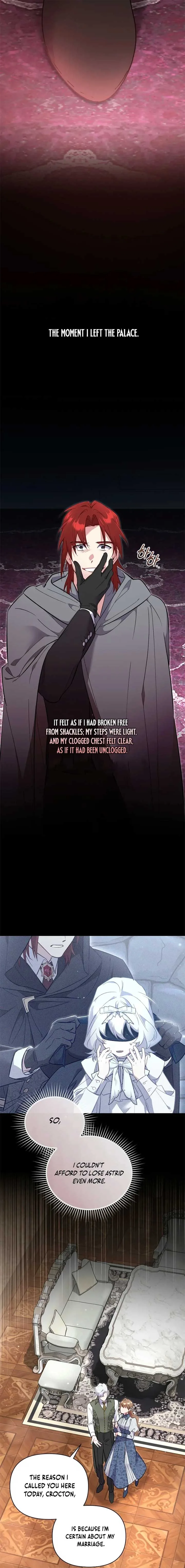 Don’t Worry, We Both Agreed to this Fraudulent Marriage Chapter 34 page 12