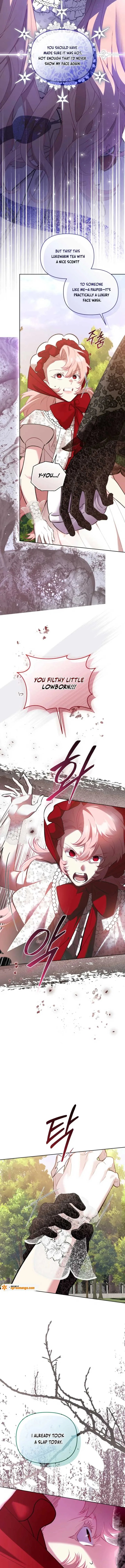 Don’t Worry, We Both Agreed to this Fraudulent Marriage Chapter 42 page 10