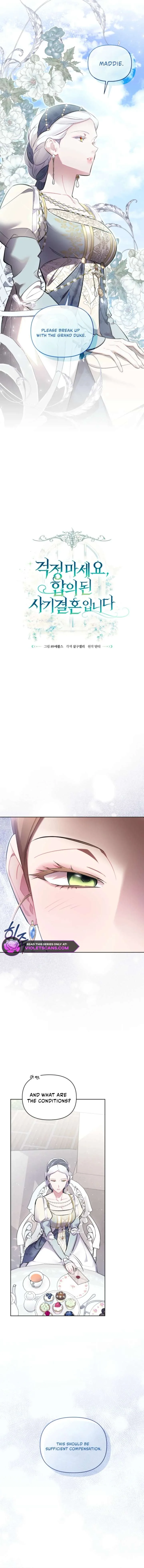 Don’t Worry, We Both Agreed to this Fraudulent Marriage Chapter 50 page 6