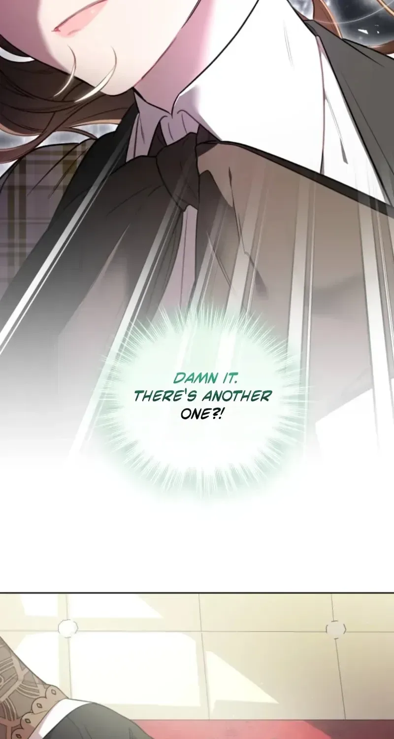 Don’t Worry, We Both Agreed to this Fraudulent Marriage Chapter 69 page 70