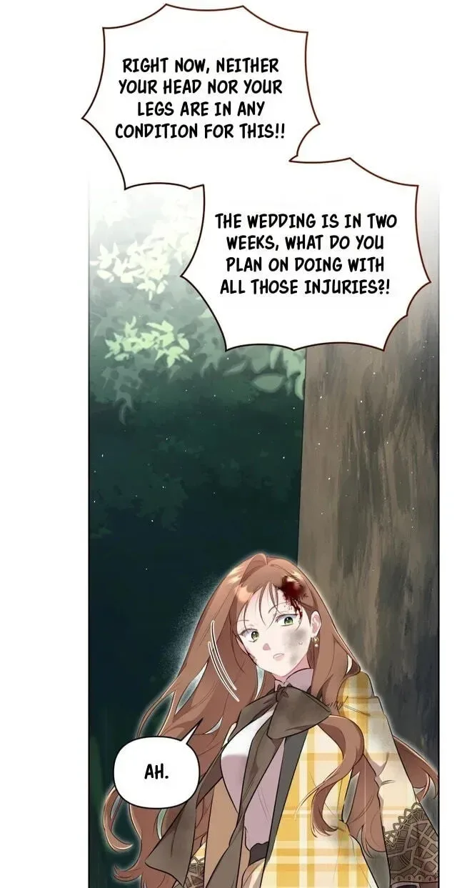 Don’t Worry, We Both Agreed to this Fraudulent Marriage Chapter 71 page 25