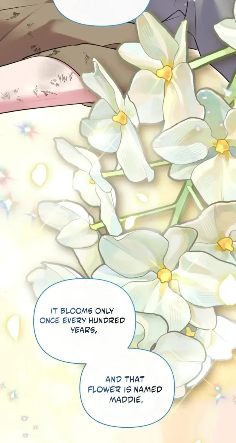 Don’t Worry, We Both Agreed to this Fraudulent Marriage Chapter 75 page 3
