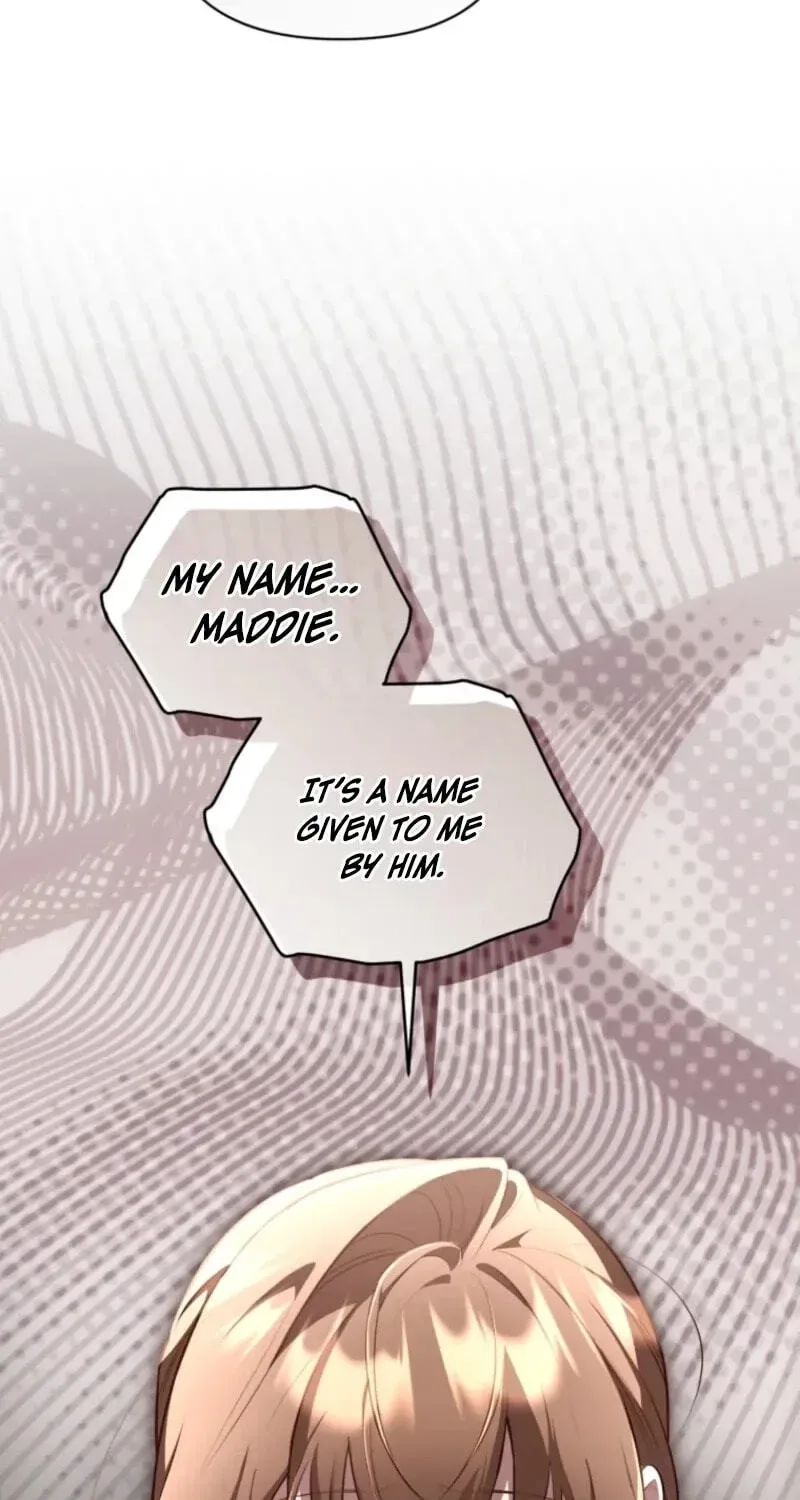 Don’t Worry, We Both Agreed to this Fraudulent Marriage Chapter 75 page 63