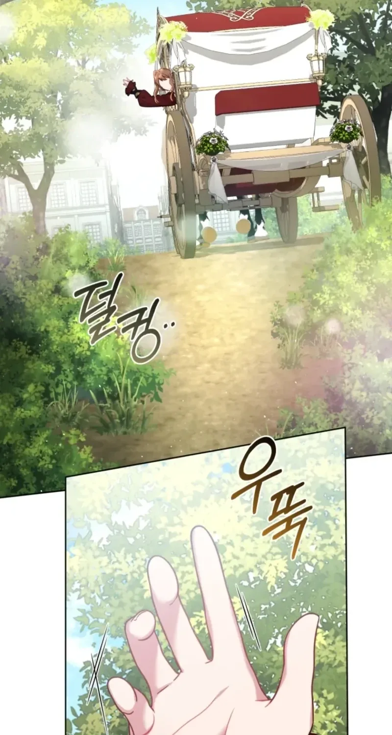 Don’t Worry, We Both Agreed to this Fraudulent Marriage Chapter 81 page 73