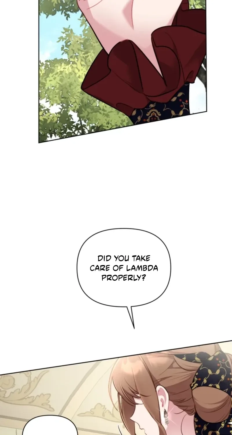 Don’t Worry, We Both Agreed to this Fraudulent Marriage Chapter 81 page 74