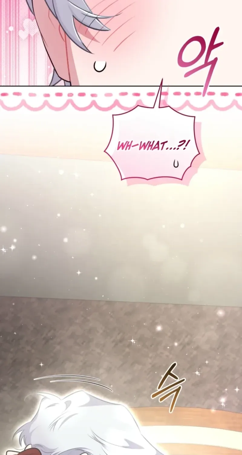 Don’t Worry, We Both Agreed to this Fraudulent Marriage Chapter 81 page 91