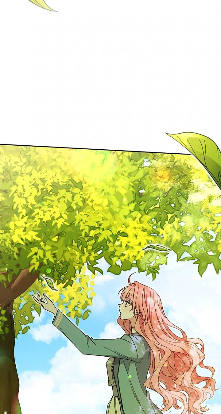 The Beloved Gardener of the World Tree Chapter 1 page 4