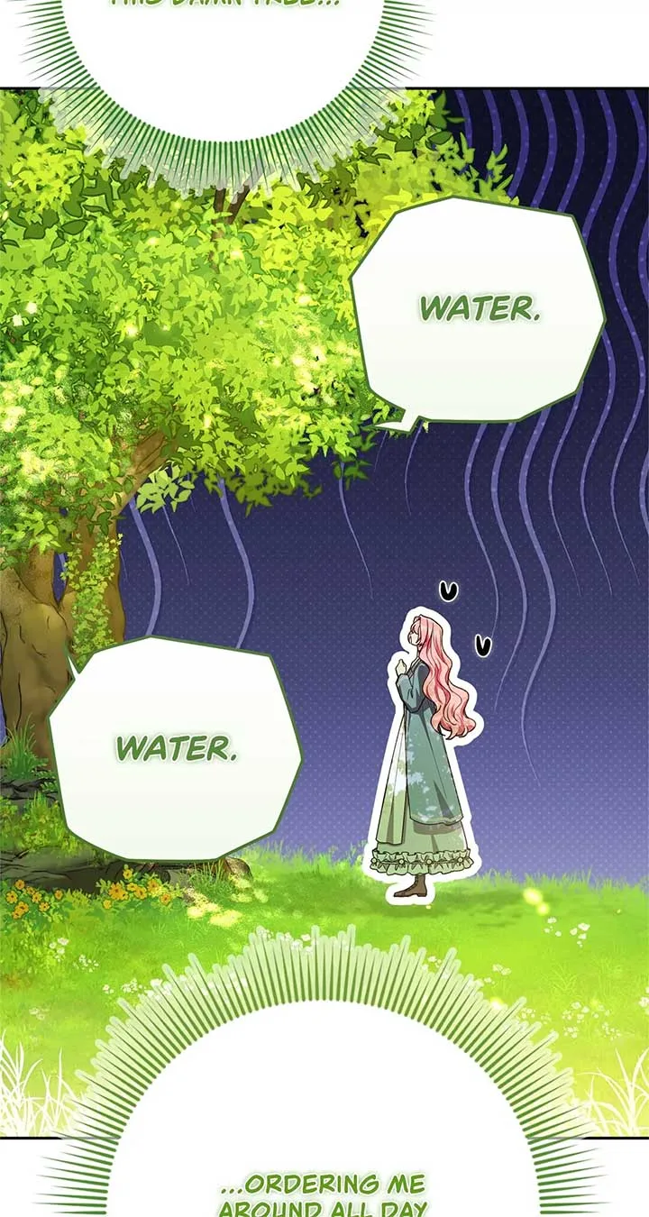 The Beloved Gardener of the World Tree Chapter 1 page 13