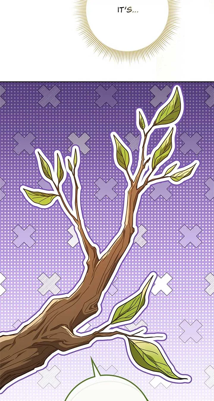 The Beloved Gardener of the World Tree Chapter 1 page 10