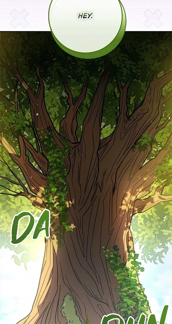 The Beloved Gardener of the World Tree Chapter 1 page 11