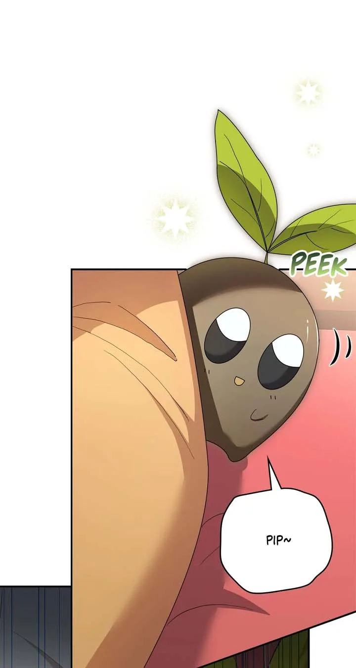 The Beloved Gardener of the World Tree Chapter 6 page 11