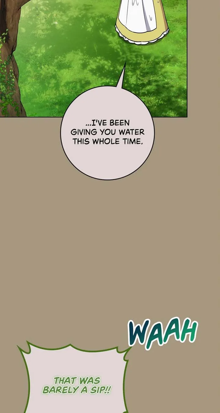 The Beloved Gardener of the World Tree Chapter 7 page 13