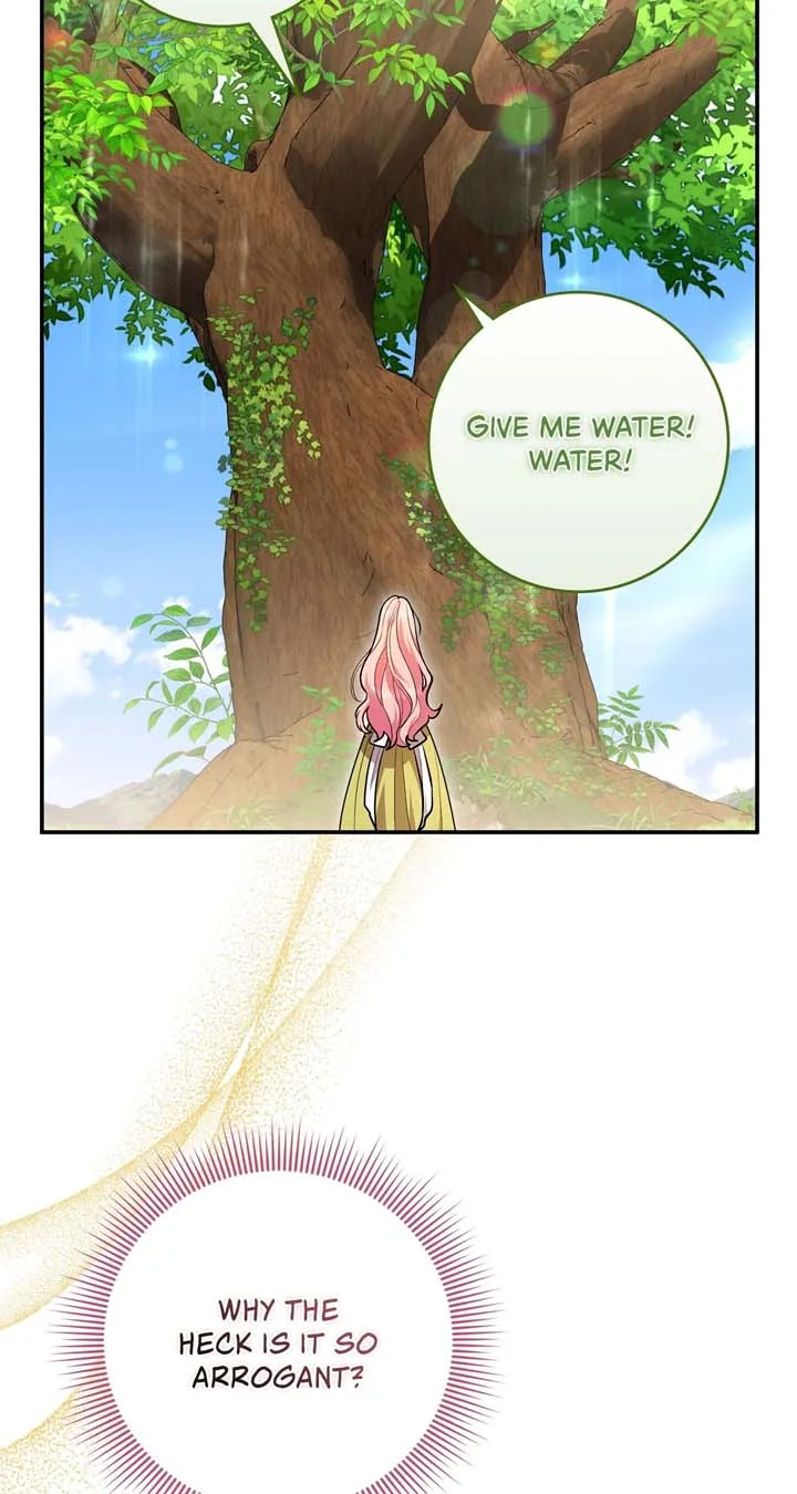 The Beloved Gardener of the World Tree Chapter 6 page 67