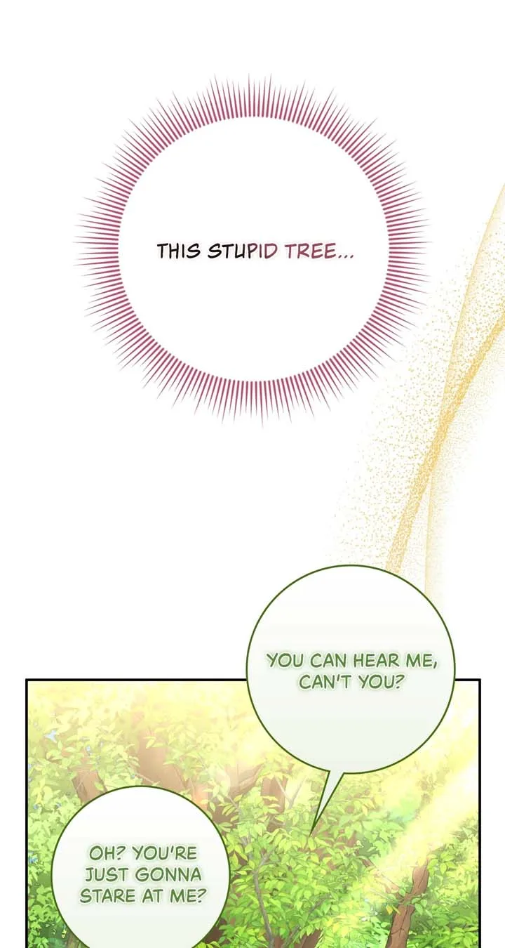 The Beloved Gardener of the World Tree Chapter 6 page 66