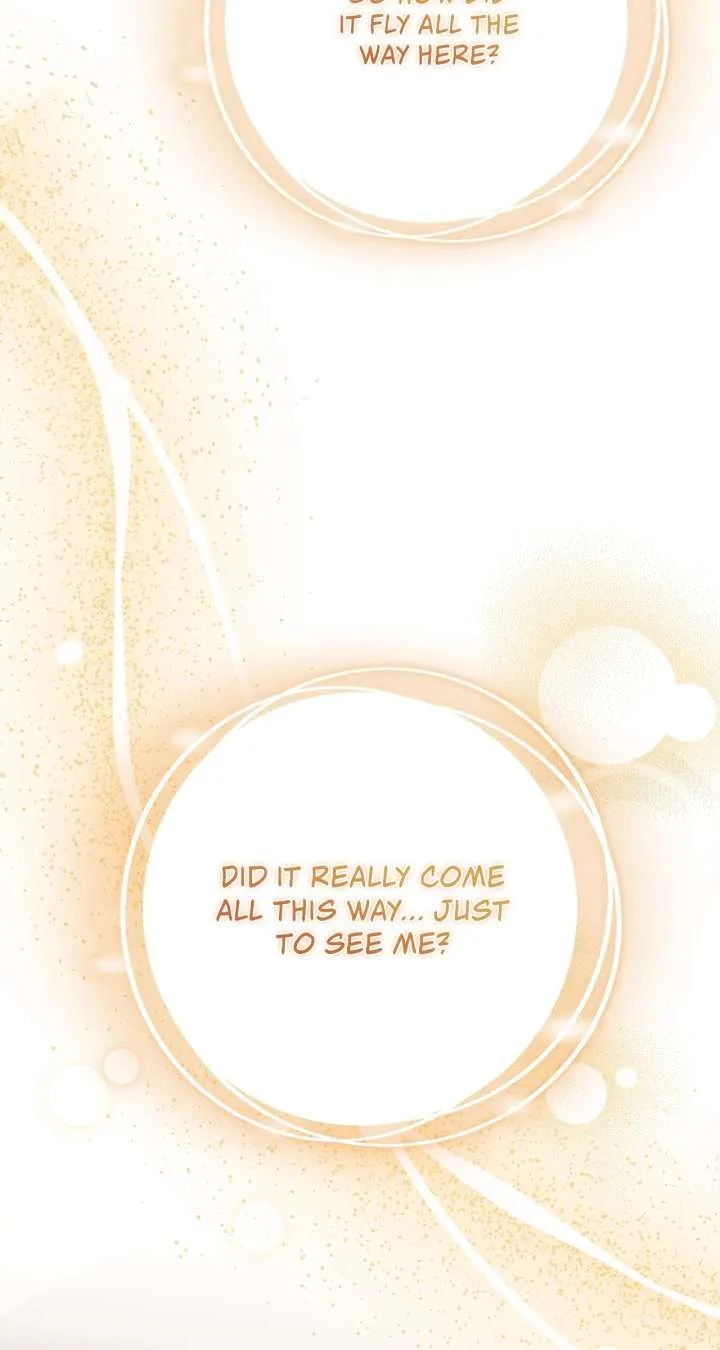 The Beloved Gardener of the World Tree Chapter 13 page 13