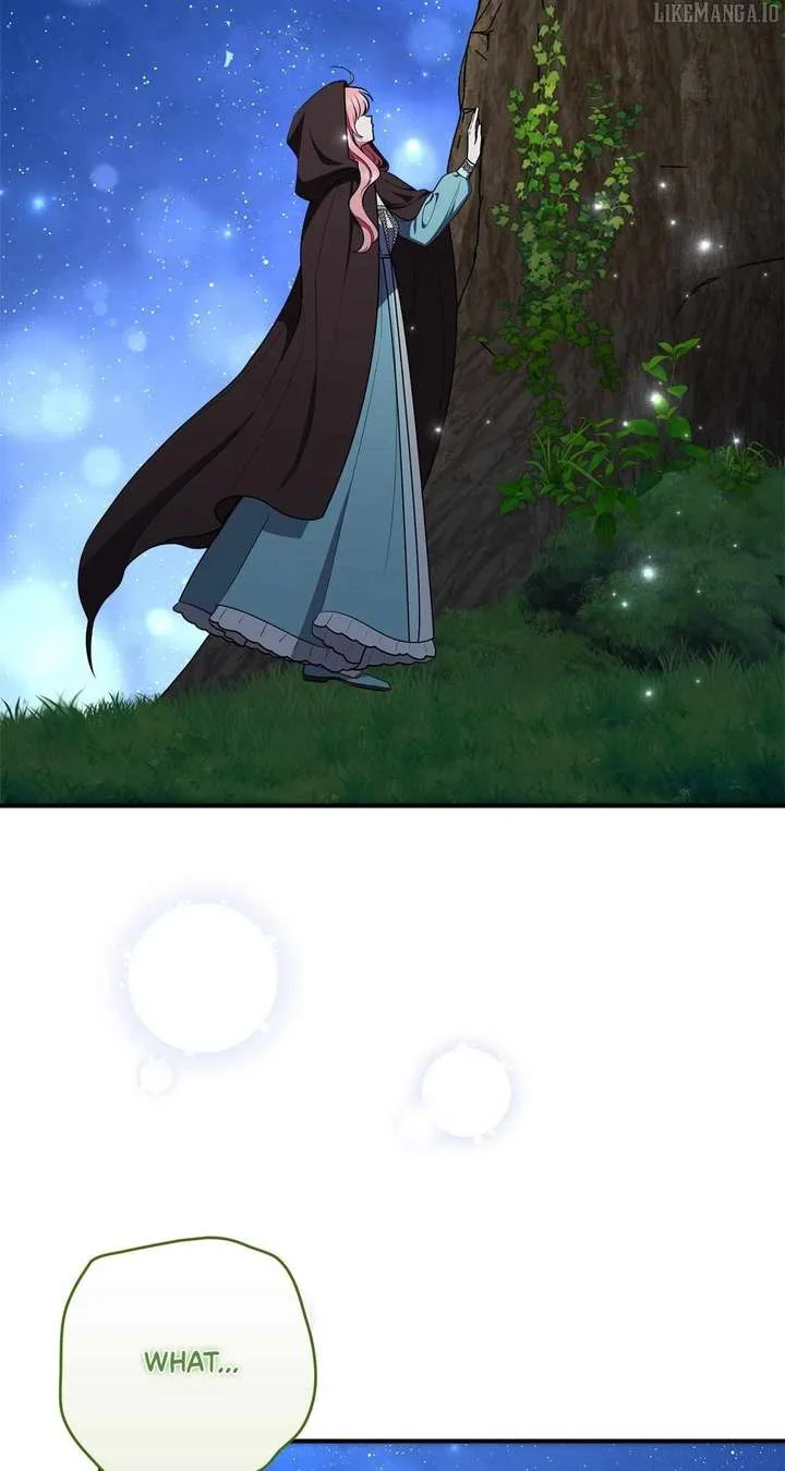 The Beloved Gardener of the World Tree Chapter 14 page 47