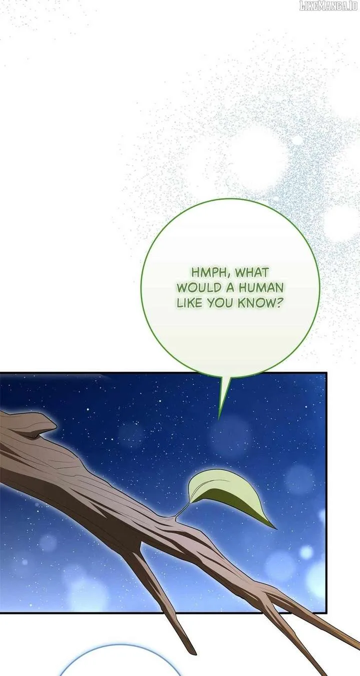 The Beloved Gardener of the World Tree Chapter 14 page 67