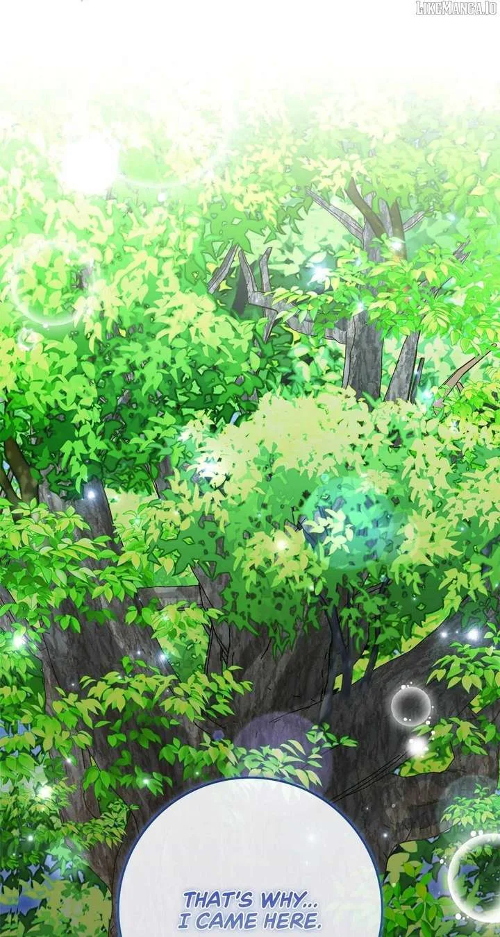 The Beloved Gardener of the World Tree Chapter 14 page 95