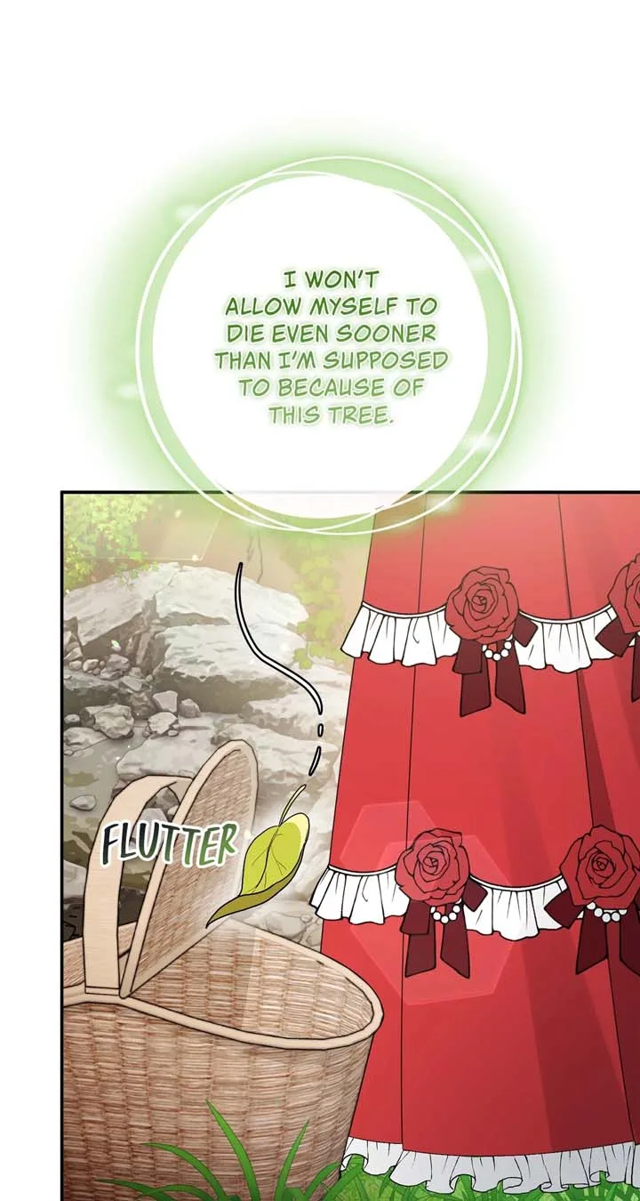The Beloved Gardener of the World Tree Chapter 3 page 76