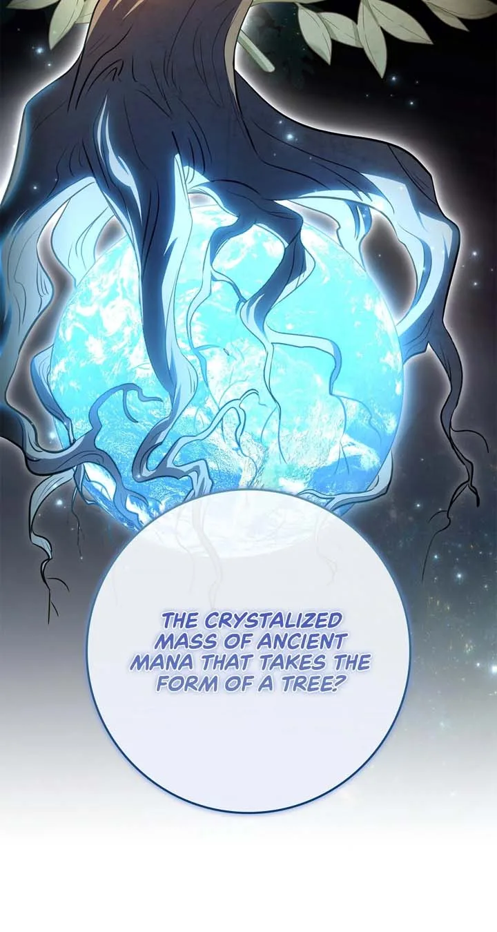 The Beloved Gardener of the World Tree Chapter 2 page 82