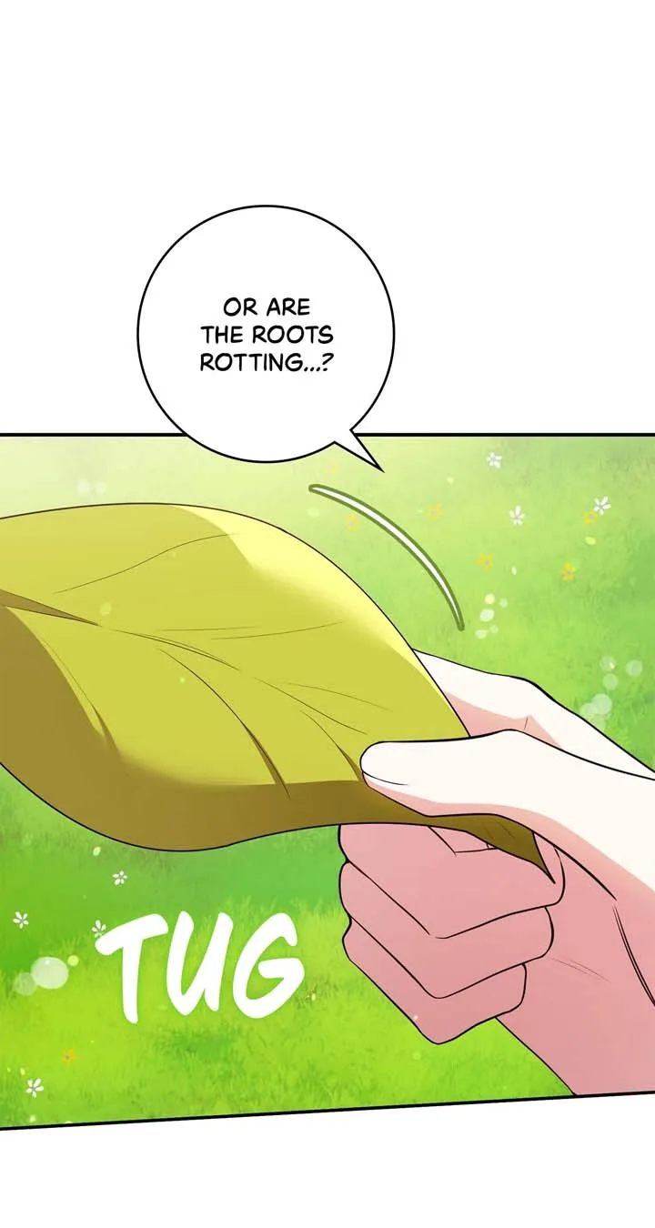 The Beloved Gardener of the World Tree Chapter 2 page 113