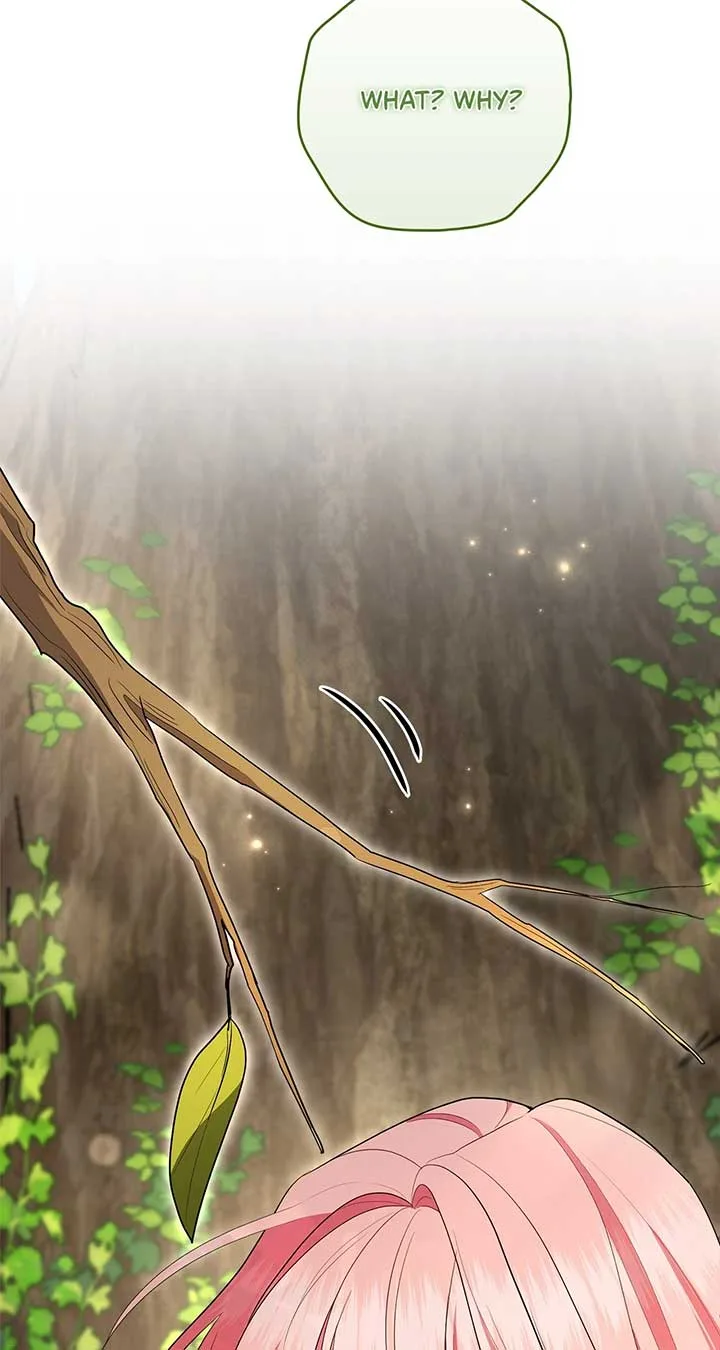 The Beloved Gardener of the World Tree Chapter 10 page 84