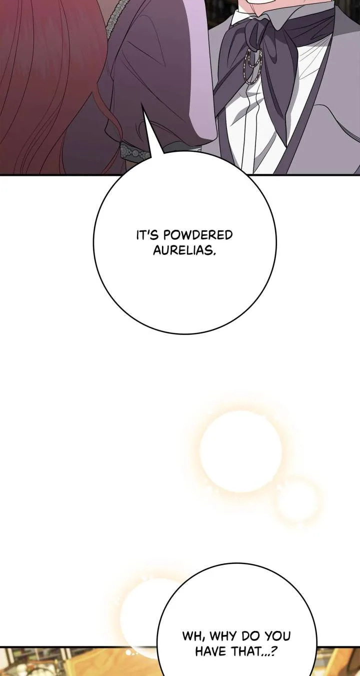 The Beloved Gardener of the World Tree Chapter 11 page 100