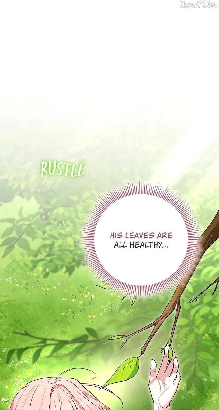 The Beloved Gardener of the World Tree Chapter 30 page 16