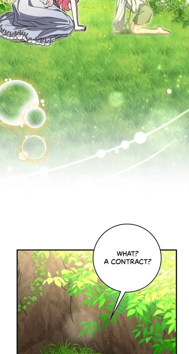 The Beloved Gardener of the World Tree Chapter 30 page 53