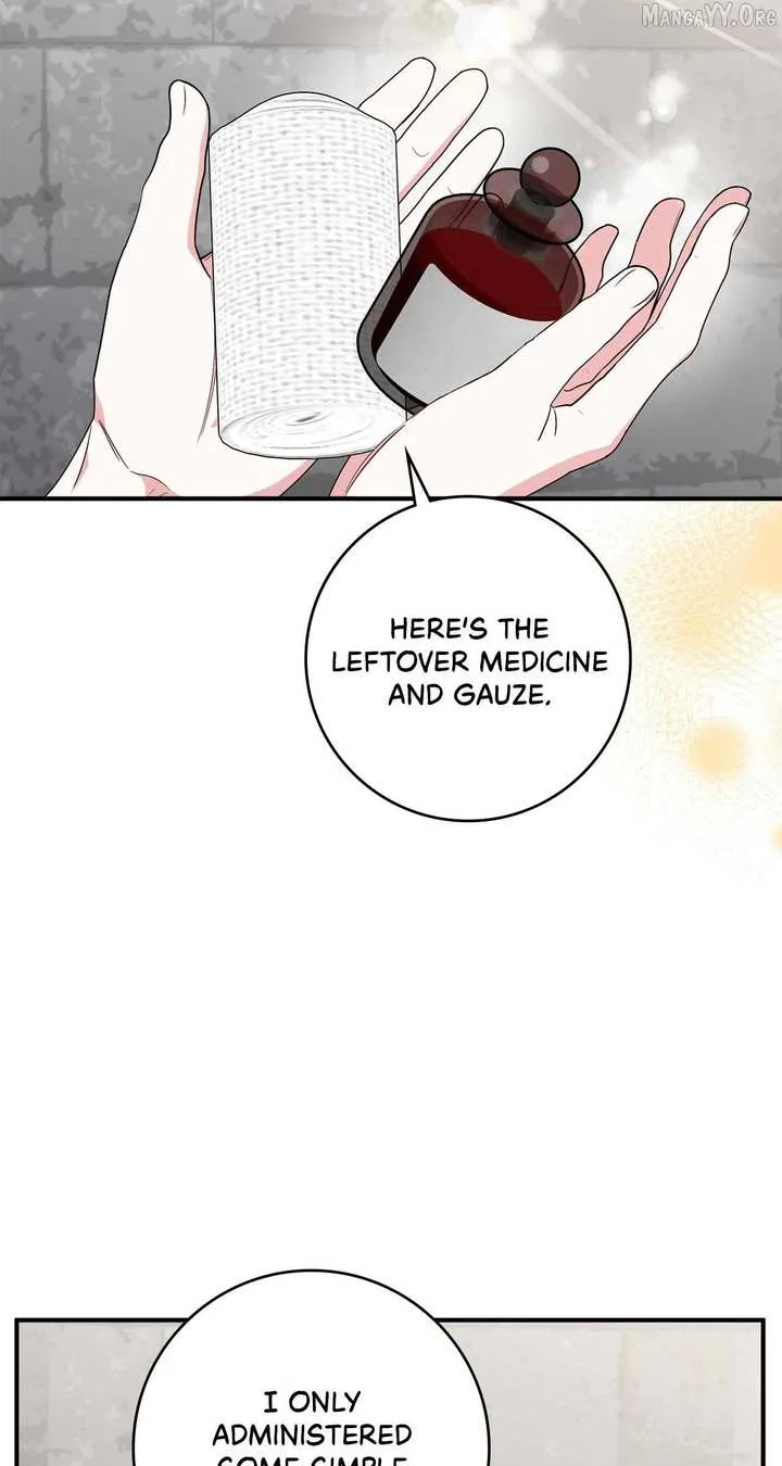 The Beloved Gardener of the World Tree Chapter 27 page 45