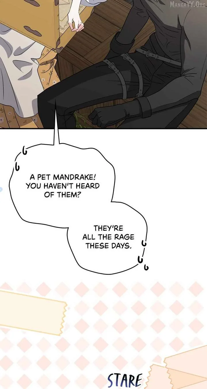 The Beloved Gardener of the World Tree Chapter 27 page 34
