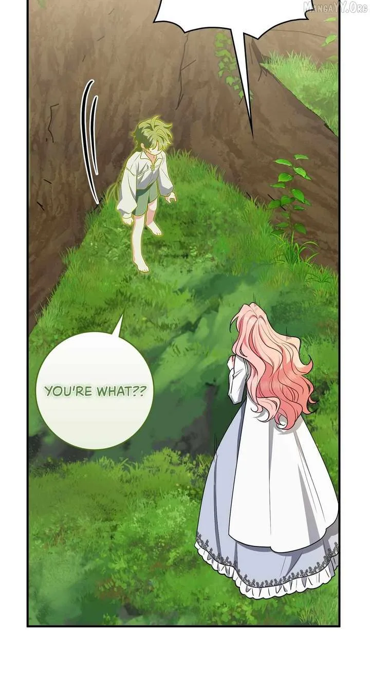 The Beloved Gardener of the World Tree Chapter 29 page 87