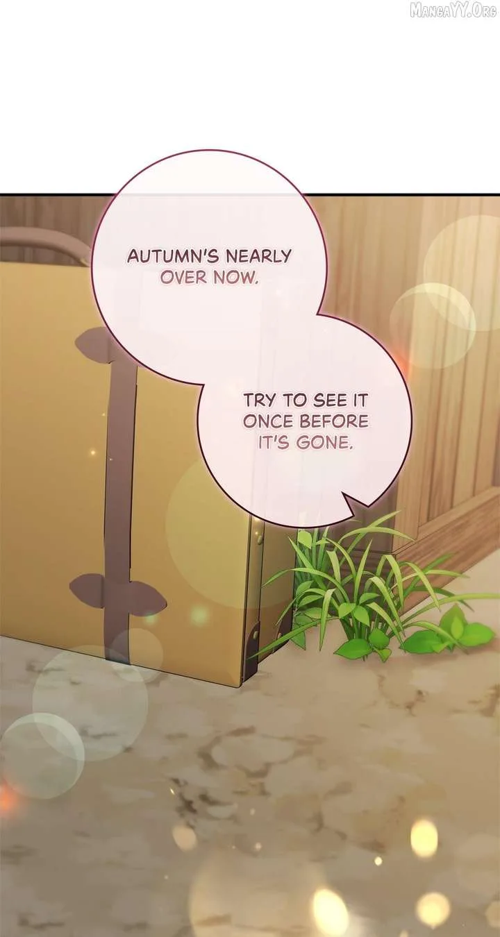 The Beloved Gardener of the World Tree Chapter 27 page 84