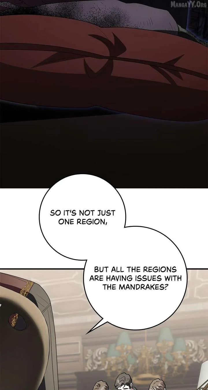 The Beloved Gardener of the World Tree Chapter 24 page 6