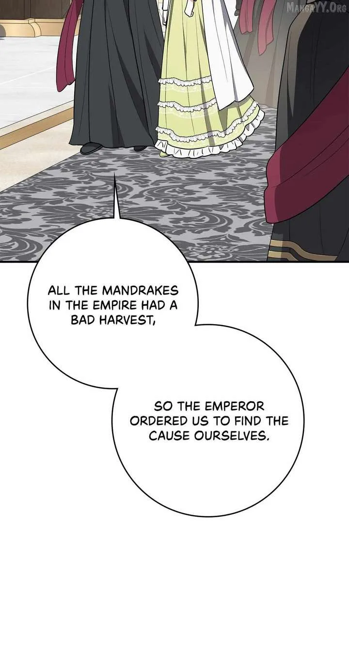 The Beloved Gardener of the World Tree Chapter 24 page 62