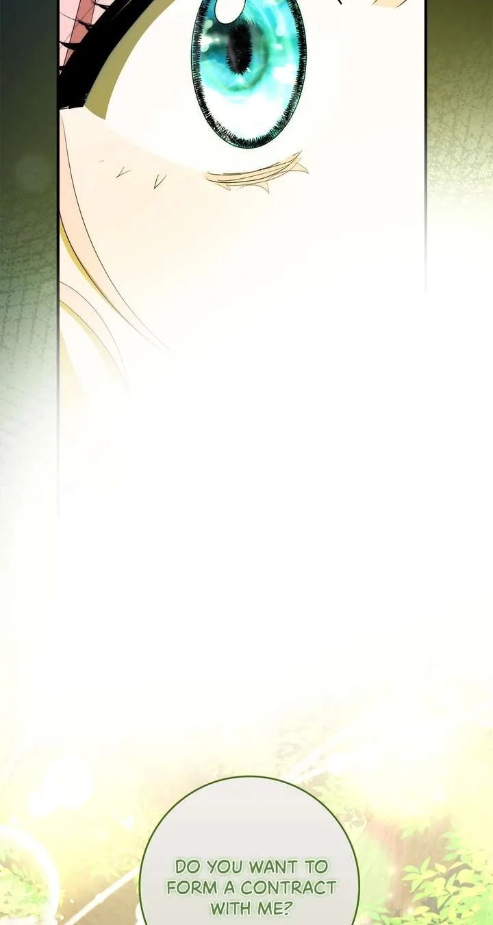 The Beloved Gardener of the World Tree Chapter 39 page 45